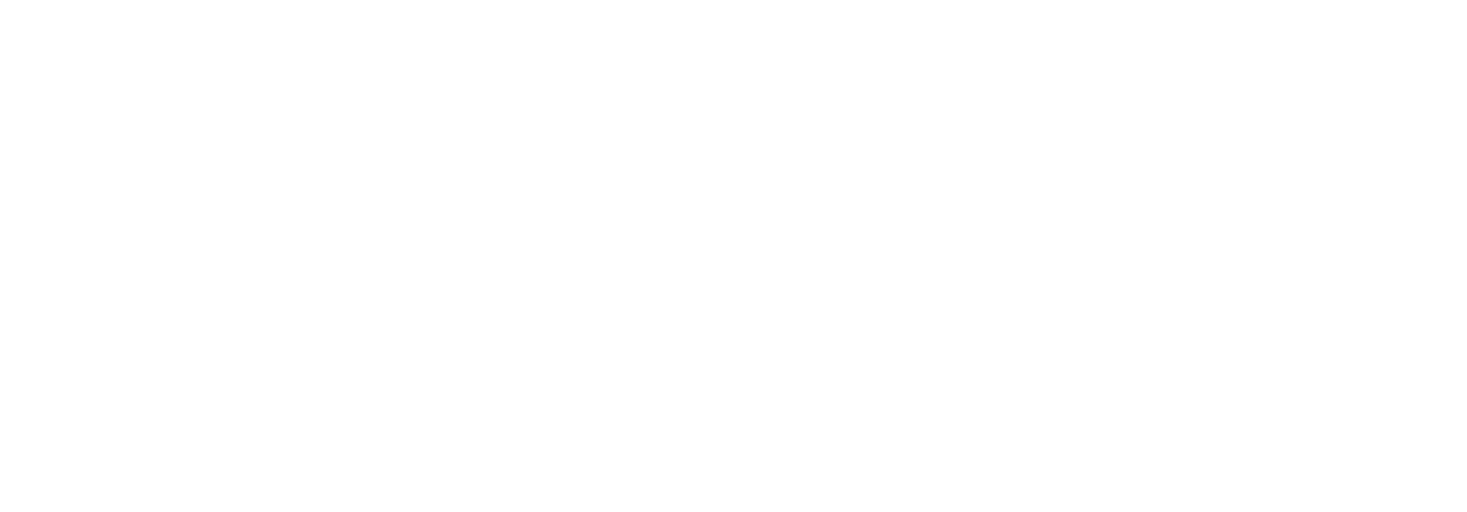 Domus Consulting